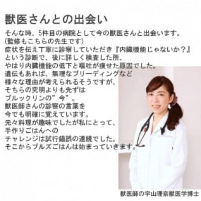 国産・保存料無添加のドッグフード・おダシ香る鶏ごはん【お試しセット】(みやき町)_SS970
