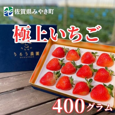 【2025年11月中旬～4月発送】極上いちご 400gGF005_SS1066(みやき町)