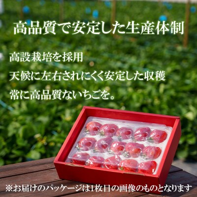 【2026年6月以降順次発送】冷凍白いちご1kgGF007_SS1065(みやき町)