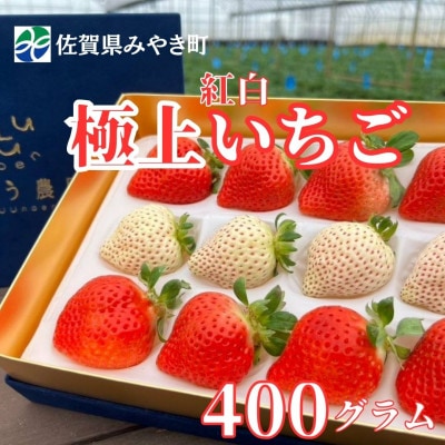 【2025年11月中旬～4月発送】極上 紅白いちご 400gGF006_SS1064(みやき町)