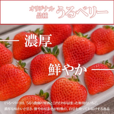 【2025年11月中旬～4月発送】極上 紅白いちご 400gGF006_SS1064(みやき町)