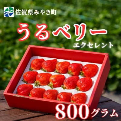 【2025年11月中旬～4月発送】エクセレント800gGF004_SS1063(みやき町)