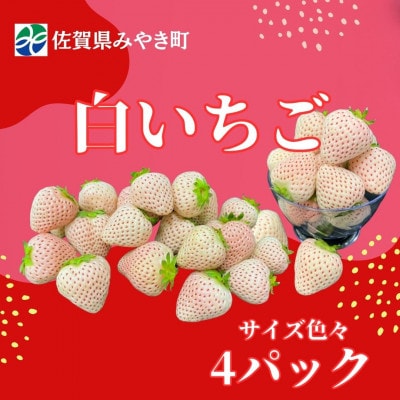 【2025年11月中旬～4月発送】白いちごサイズ色々4パックGF010_SS1061(みやき町)