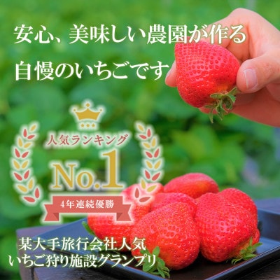 【2025年11月中旬～4月発送】白いちごサイズ色々4パックGF010_SS1061(みやき町)