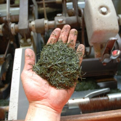 中森製茶 かぶせ茶・煎茶 3種セット 伊勢茶 三重県産茶葉100% 被覆栽培 露地栽培