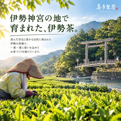 伊勢茶 喜多製茶かぶせ茶ティーパック 計250g