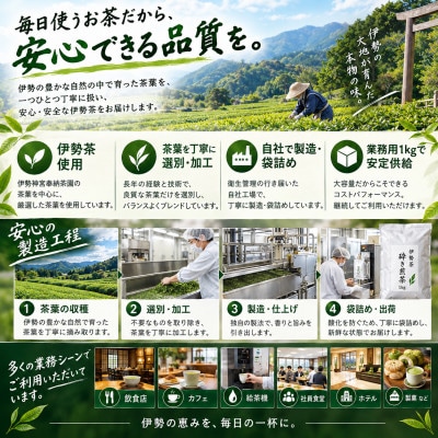 伊勢茶 喜多製茶かぶせ茶ティーパック 計250g