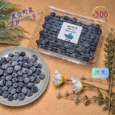 【三重県度会町産】冷凍ブルーベリー 500g