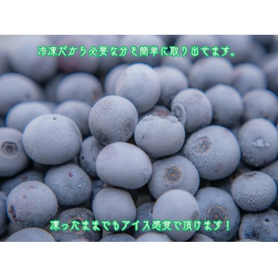 【三重県度会町産】冷凍ブルーベリー 500g