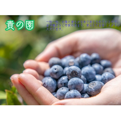 【三重県度会町産】冷凍ブルーベリー 500g