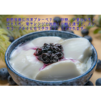 【三重県度会町産】冷凍ブルーベリー 500g
