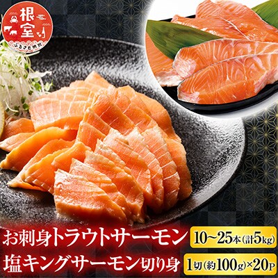 �g���E�g�T�[����10�`25�{&���L���O�T�[����1��×20P E-09009