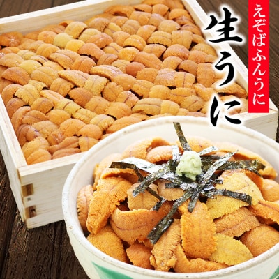 エゾバフンウニバラ詰め600g×1折[11月中旬以降発送] D-73006