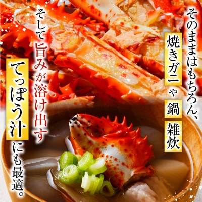 【北海道根室産】花咲かに700g×2尾(計1.4lg) F-20013