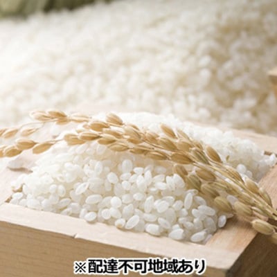 令和7年度産　きぬむすめ 精米 5kg 岡山県 赤磐市産 お米 [NO5765-0108]