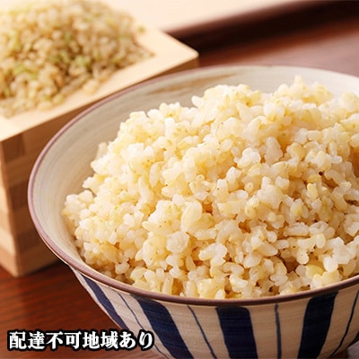 令和7年度産　きぬむすめ 玄米 10kg 岡山県 赤磐市産 お米 [NO5765-0109]