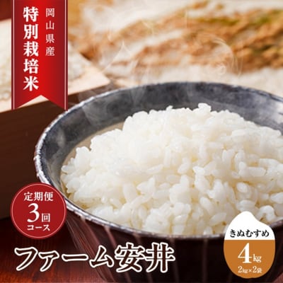 お米 特別栽培米 きぬむすめ 4kg 3ヵ月定期便 合計12kg [NO5765-1409]