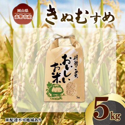 令和7年 きぬむすめ 玄米 5kg 晴れの国 岡山県産 米 [NO5765-1420]