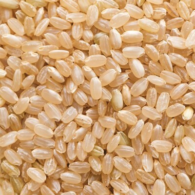 令和7年 きぬむすめ 玄米 5kg 晴れの国 岡山県産 米 [NO5765-1420]