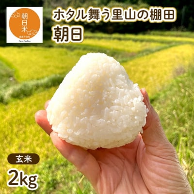 �ߘa7�N�Y ���� ����2kg  �z�^���������R�̒I�c �_�� ���w�엿�s�g�p[NO5765-1422]