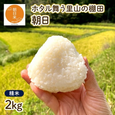 令和7年産 朝日 精米2kg  ホタル舞う里山の棚田 農薬 化学肥料不使用[NO5765-1423]