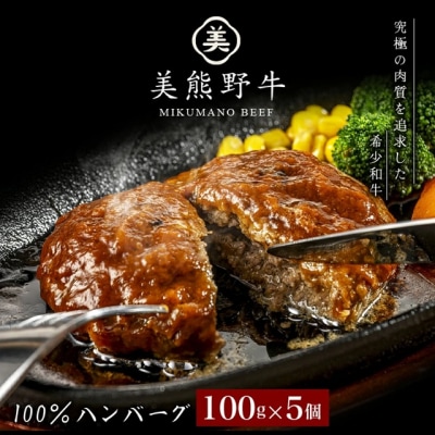 【美熊野牛】100%ハンバーグ
