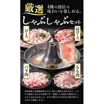 浅野農場厳選しゃぶしゃぶセット