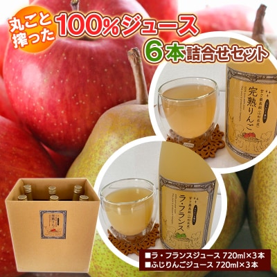 �ۂ��ƍ����100%�W���[�X6�{�l�����Z�b�g FZ18-754