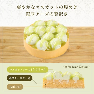 《ふるさと納税限定》【京都フレーバーズ】濃厚チーズケーキマスカット&ピスタチオのセット