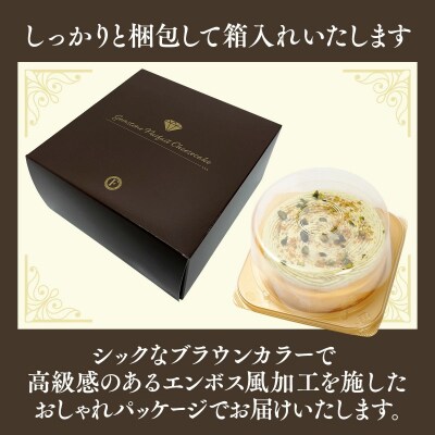 《ふるさと納税限定》【京都フレーバーズ】濃厚チーズケーキマスカット&ピスタチオのセット