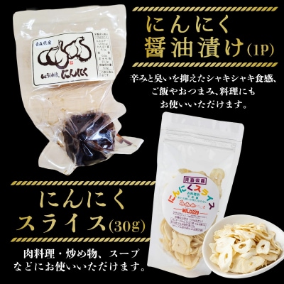 JAゆうき青森 パワー満菜セット