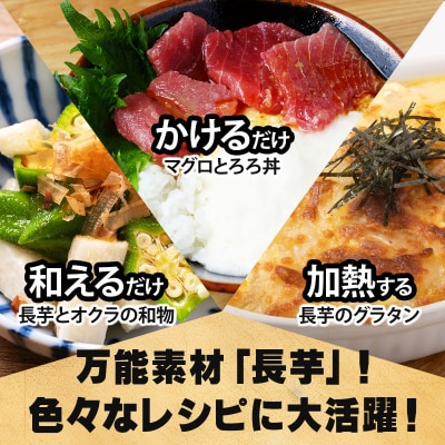【七戸産】長芋 4kg(家庭用カット/真空パック)