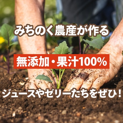 みちのく農産　栄養満載セットB　