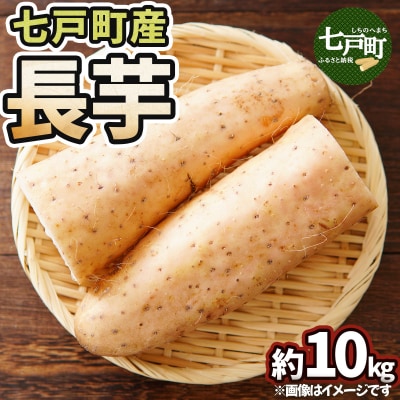 七戸産 長芋 10kg 