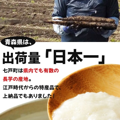 七戸産 長芋 10kg 
