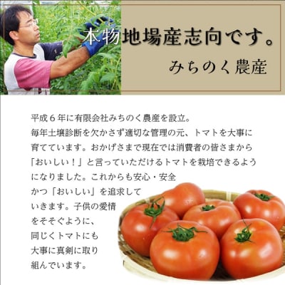 アイラブ七戸トマトジュース C