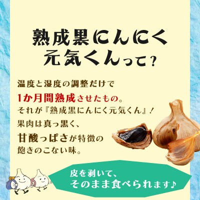 元気くんカケラクラフト袋(180g×2)