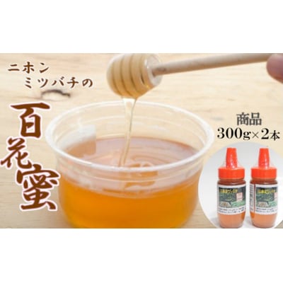 日本ミツバチの百花蜜2本セット(300g×2)
