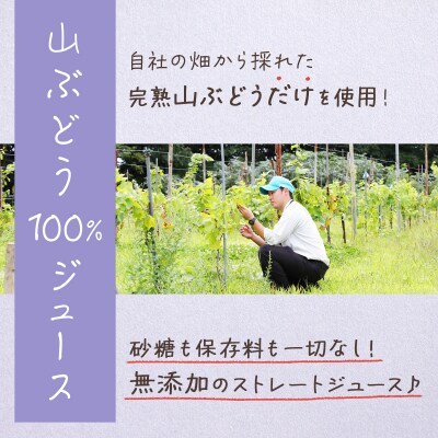 七戸町産 山ぶどうジュース(720ml×2本)