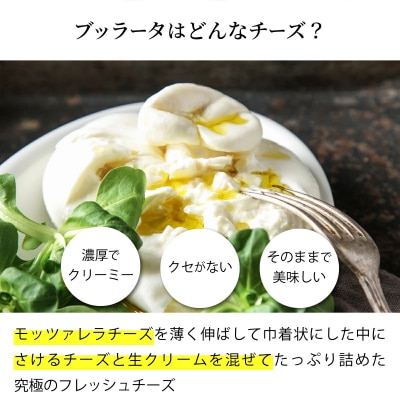 青森ミルクの手づくりチーズ　ブッラータ120g×2　