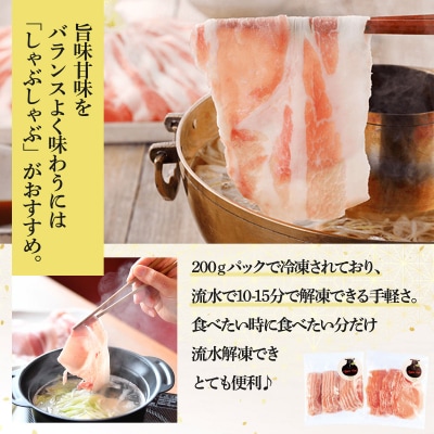 アップルポークのしゃぶしゃぶセット(4人前・豚肉800g)