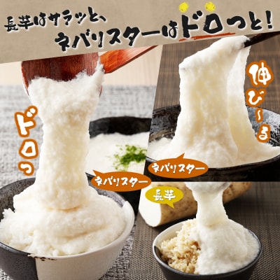 ねばりまこと芋(ネバリスター)3kg　(真空パック包装)