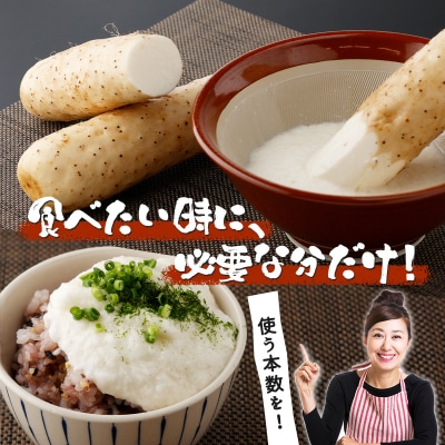 ねばりまこと芋(ネバリスター)1.5kg　(真空パック包装)