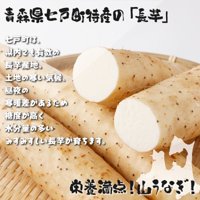 ねばりまこと芋(ネバリスター)1.5kg　(真空パック包装)