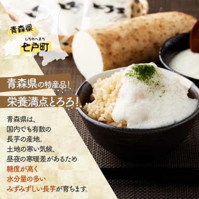 青森県産 冷凍長芋とろろパック 50g×15個