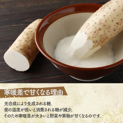 青森県産 冷凍長芋とろろパック 50g×15個