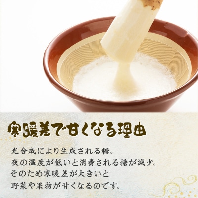 ネバリスター冷凍とろろパック(50g×15個)