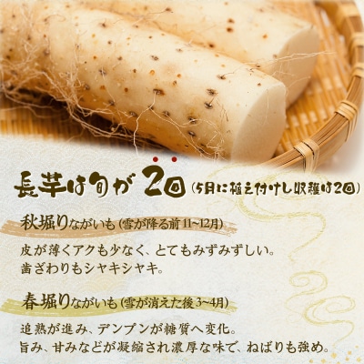 ネバリスター冷凍とろろパック(50g×15個)