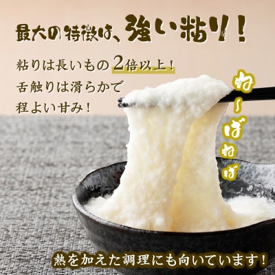 ネバリスター冷凍とろろパック(50g×30個)