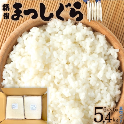 【便利な小分け真空パック!】精米　まっしぐら:6合(900g)×6P/計5.4kg